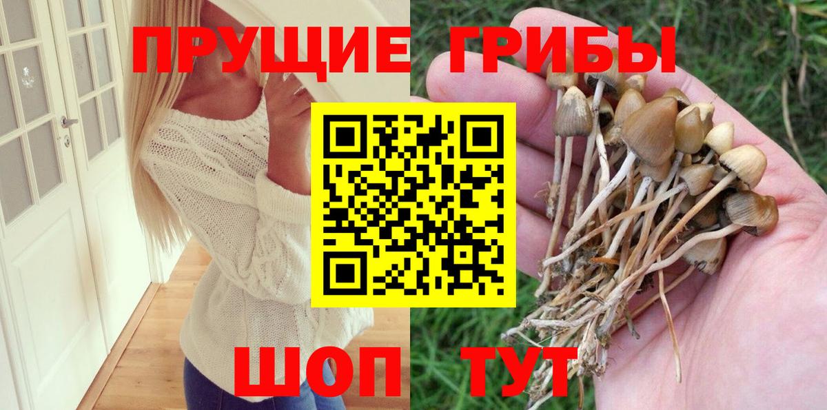Псилоцибиновые грибы мицелий  Вход с VPN  Киржач 