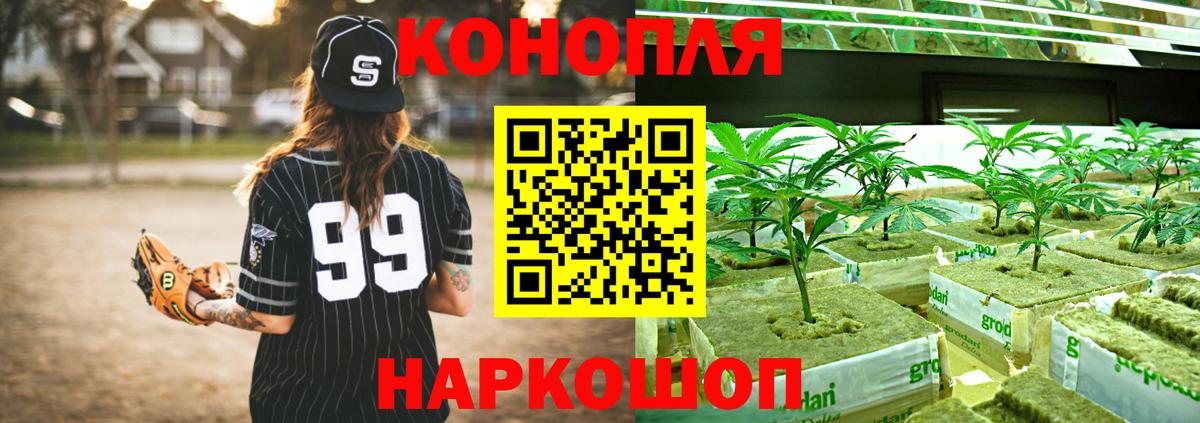 Шишки марихуана семена  Вход с VPN  Бошки Шишки THC 21%  МАРИХУАНА THC 21%  Киржач 